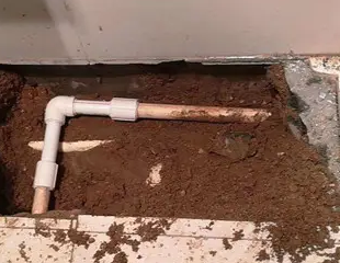 昌都测漏水哪家好