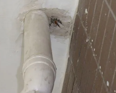 昌都漏水检测哪家好